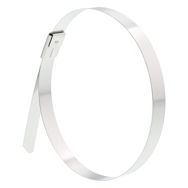 Stainless Steel Cable Ties for Secure Cable Bundling (Pack of 100)