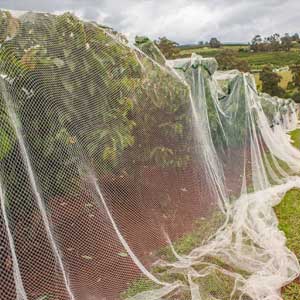 premium netting solutions  designed for UK condition